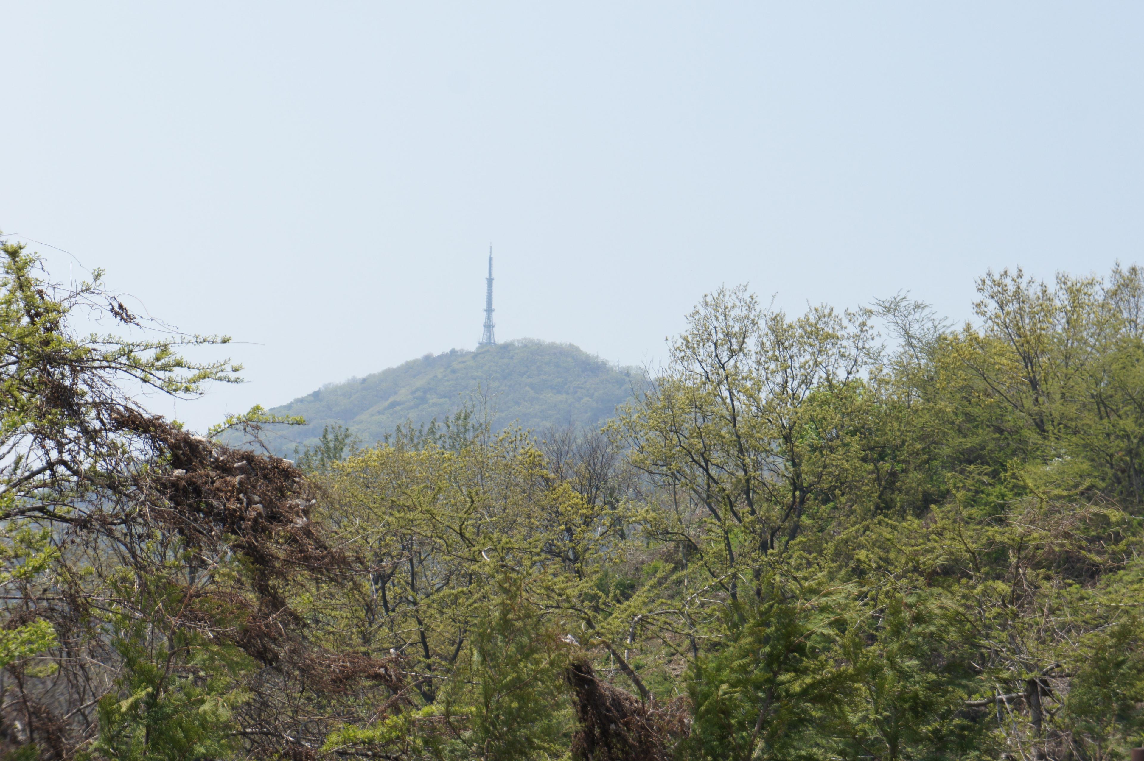 계양구